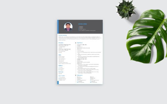 Download Modern Minimal Resume Template - Resume template Collection
