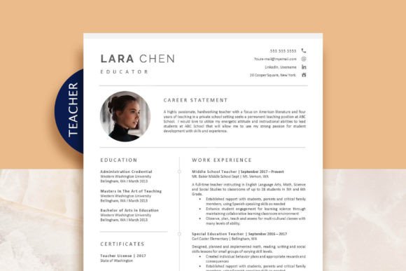 Download University Professor Resume Template - Resume template Collection